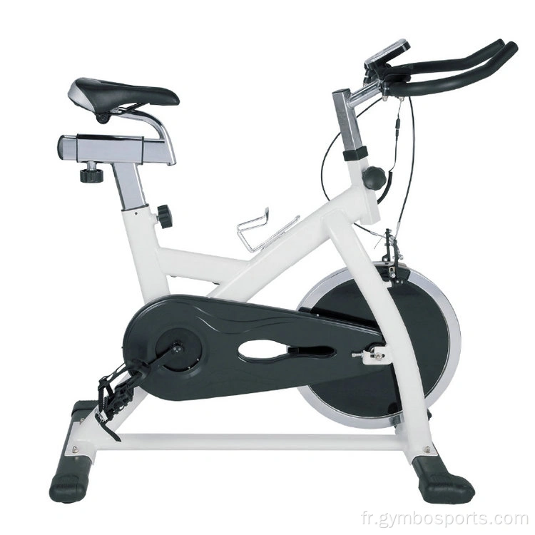 Spin Bike Reviews Exercice Rembent Stationary Bike